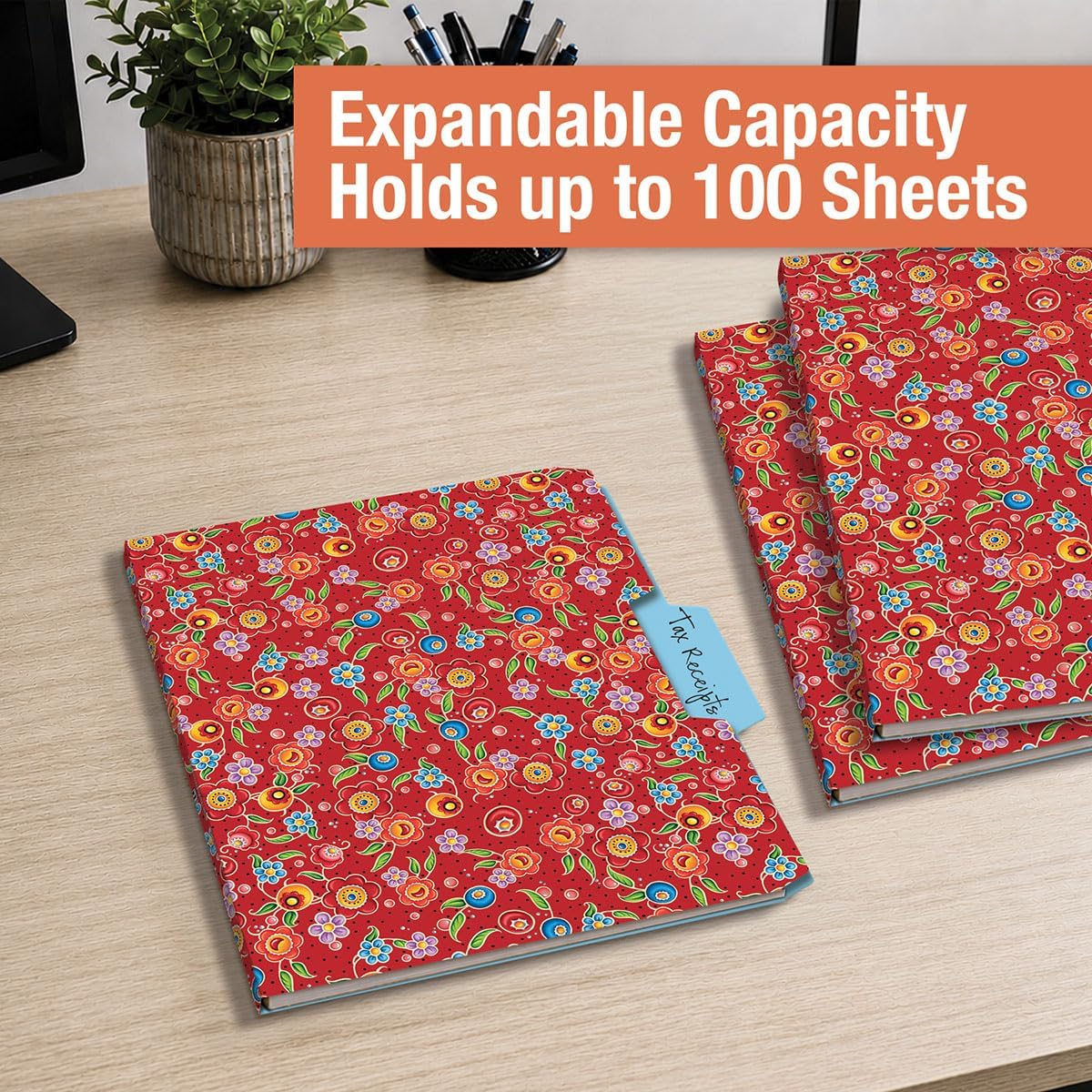 Current Mary Engelbreit File Folders